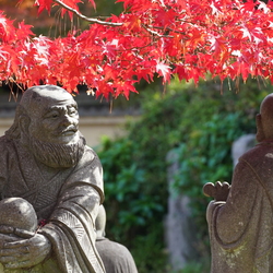 京都印象 红尘佛影